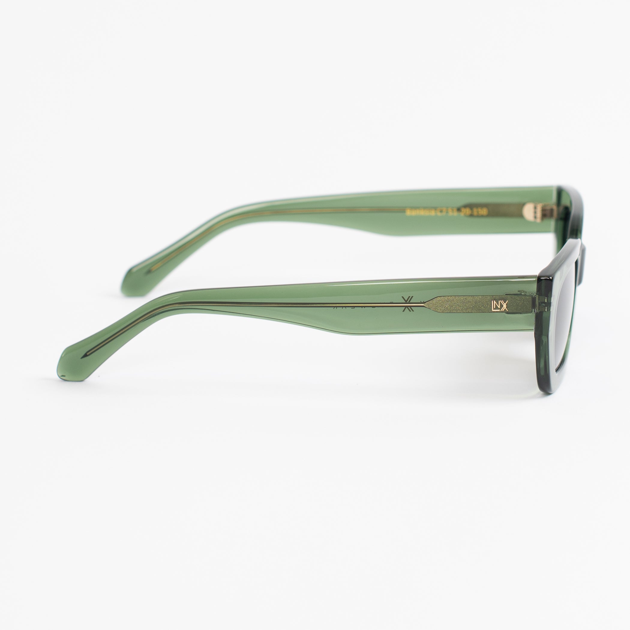 BANKSIA ~ LIGHT GREEN