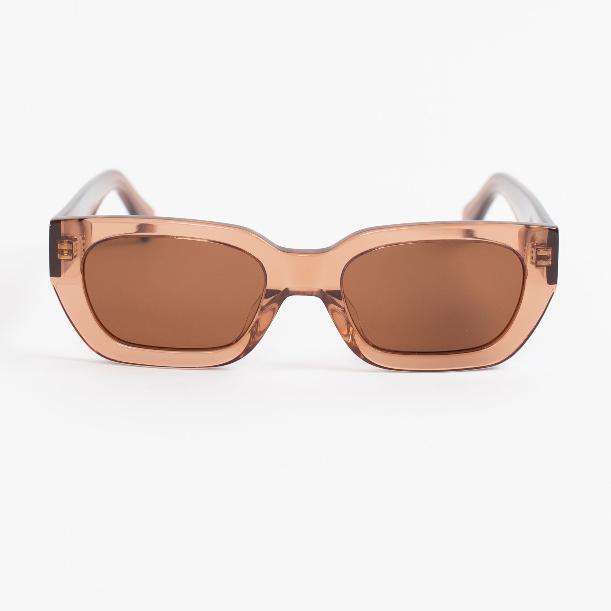 BANKSIA ~ LIGHT BROWN