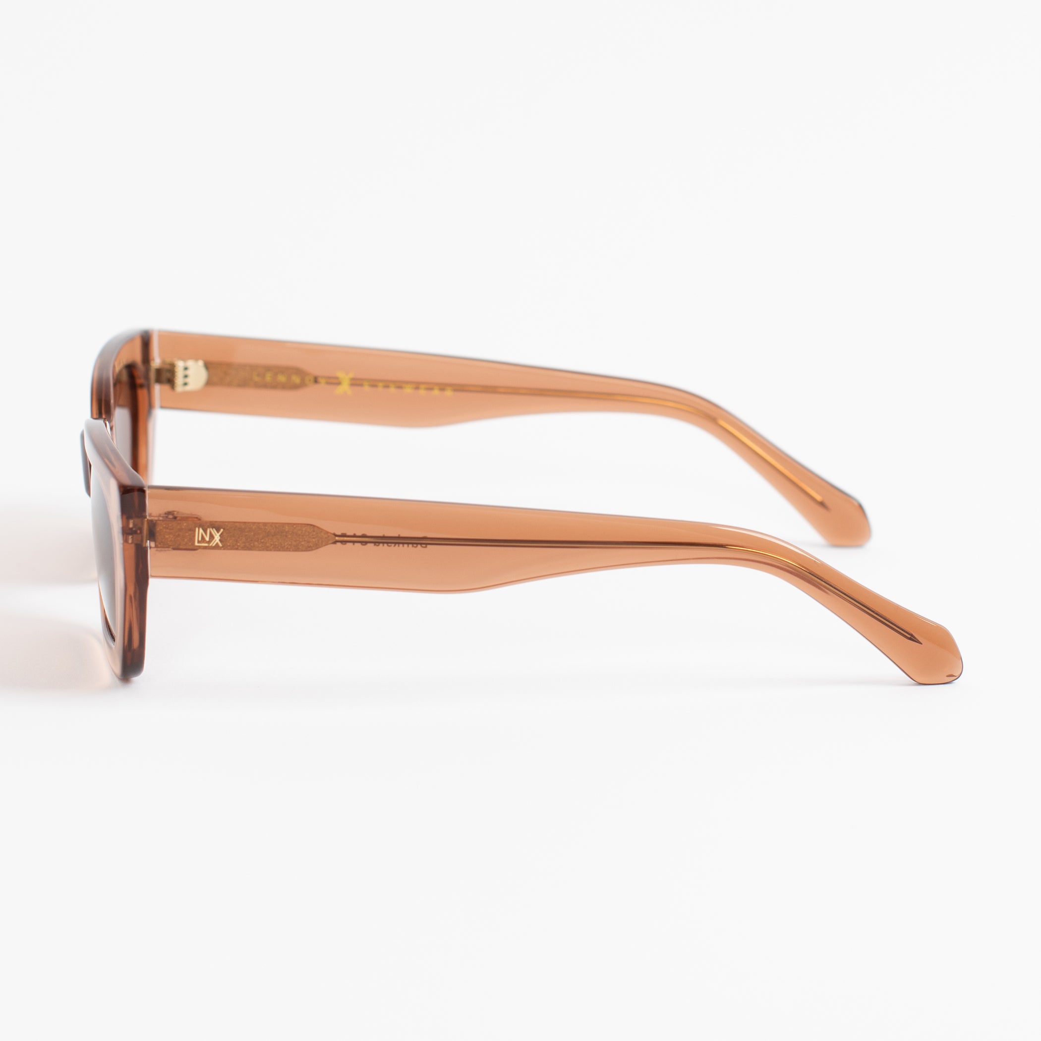 BANKSIA ~ LIGHT BROWN